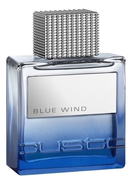 

Blue Wind: туалетная вода 100мл уценка, Blue Wind