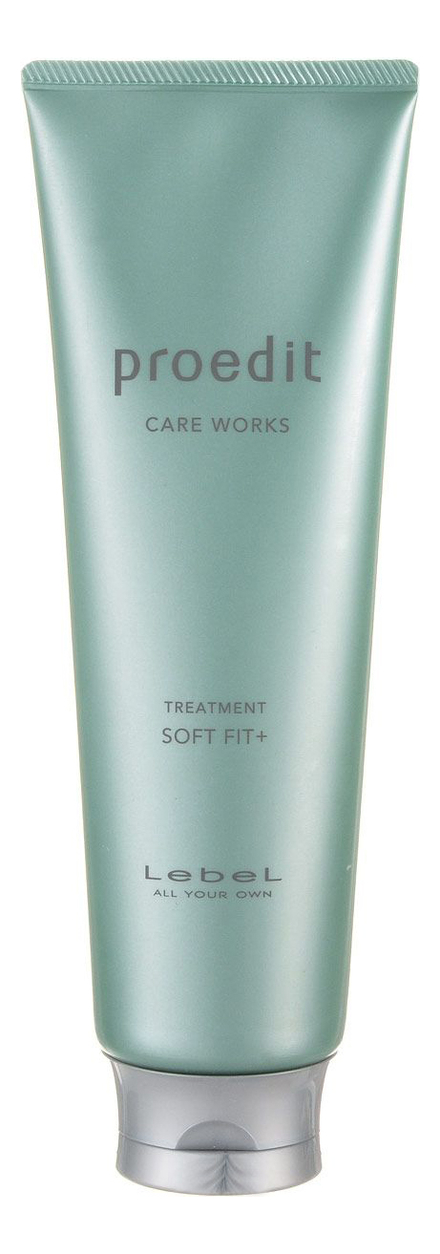 Маска для жестких очень поврежденных волос Proedit Care Works Treatment Soft Fit Plus: Маска 250мл маска для жестких очень поврежденных волос proedit care works treatment soft fit plus маска 250мл