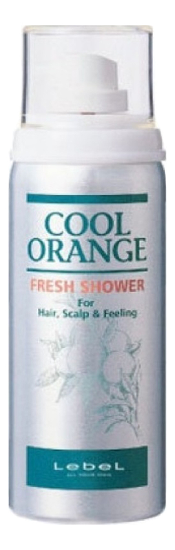 

Освежитель для волос и кожи головы Cool Orange Fresh Shower 75мл
