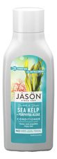 Jason Кондиционер для волос успокаивающий с экстрактом морских водорослей Smoothing Sea Kelp Pure Natural Conditioner 454мл