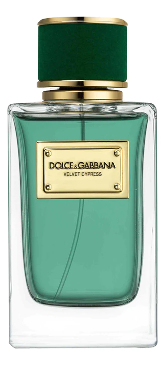 Dolce & gabbana velvet cypress best sale