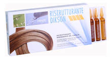 Dikson Восстанавливающий комплекс для сухих и поврежденных волос Ristrutturante 12*12мл