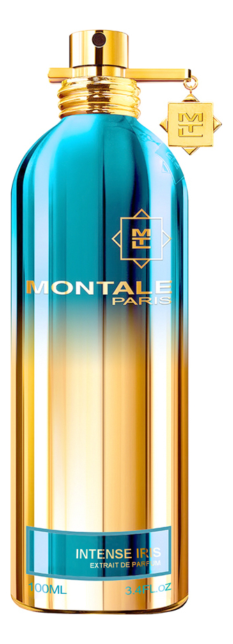 Купить So Iris Intense: парфюмерная вода 100мл, Montale