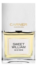 Carner Barcelona Sweet William