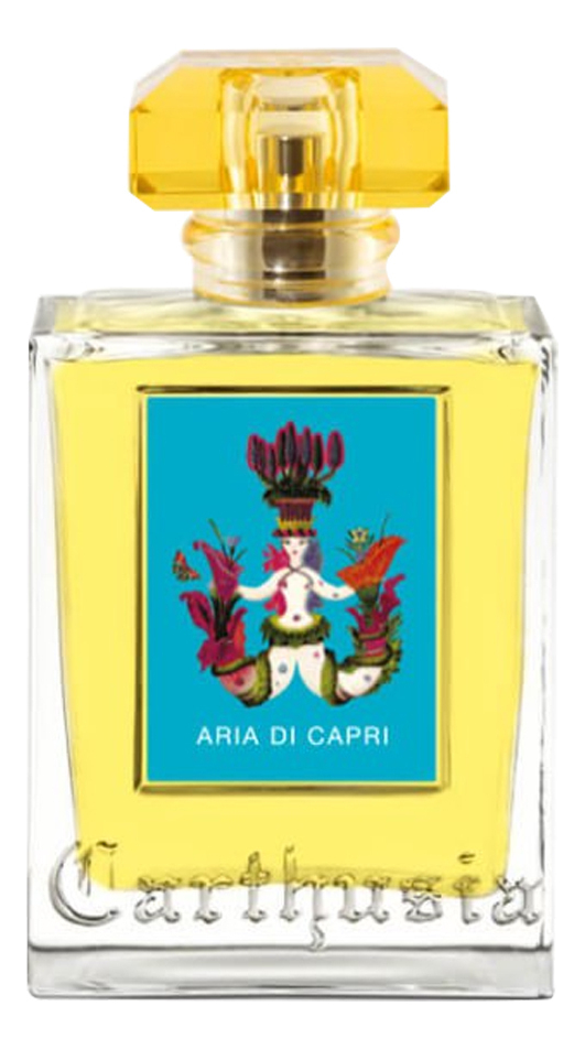 

Aria Di Capri: парфюмерная вода 100мл тестер, Aria Di Capri