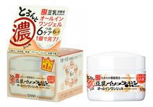 SANA Крем-гель для лица с изофлавонами сои 6 в 1 Soy Milk Gel Cream 100г