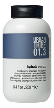 

Увлажняющий шампунь для сухих волос 01.3 Hydrate Shampoo: Шампунь 250мл, Увлажняющий шампунь для сухих волос 01.3 Hydrate Shampoo