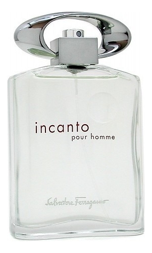 Купить Incanto pour homme: туалетная вода 100мл уценка, Salvatore Ferragamo