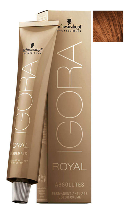 

Крем-краска для волос Igora Royal Absolutes 60мл: 6-70 Dark Blonde Copper Natural, Крем-краска для волос Igora Royal Absolutes 60мл