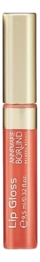 

Блеск для губ Lip Gloss 9,5мл: Peach, Блеск для губ Lip Gloss 9,5мл