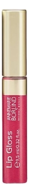 

Блеск для губ Lip Gloss 9,5мл: Blossom, Блеск для губ Lip Gloss 9,5мл
