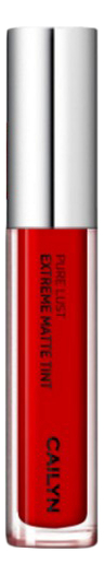 Матовый тинт для губ Pure Lust Extreme Matte Tint 3,5мл: 04 Expressionist от Randewoo