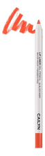 CAILYN Гелевый карандаш для губ Lip Liner Gel Pencil 1,2г