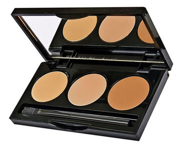 HD-консилер HD Hydra-Cover Hydrating Concealer Palette 6г: No2 от Randewoo