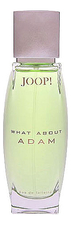 Joop  What About Adam