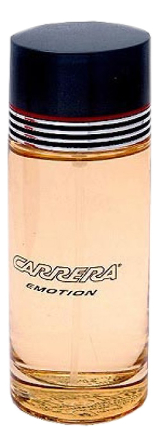 

Emotion Pour Femme: туалетная вода 100мл, Emotion Pour Femme