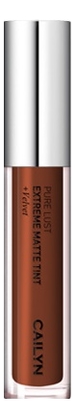 

Матовый тинт для губ Pure Lust Extreme Matte Tint + Mousse 3,5мл: 79 Rarity, Матовый тинт для губ Pure Lust Extreme Matte Tint + Mousse 3,5мл