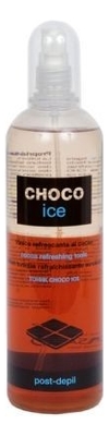 

Двухфазный тоник для тела Choco Ice 500мл