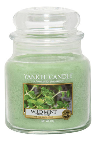 

Ароматическая свеча Wild Mint: Свеча 411г, Ароматическая свеча Wild Mint