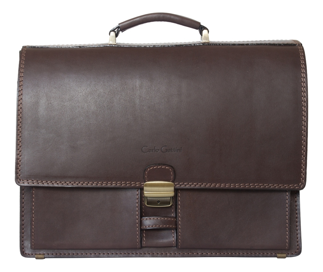 

Портфель Luriano Brown 2009-31