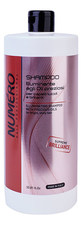 Brelil Professional Шампунь для волос с маслом арганы и макадамии Numero Illuminating Shampoo With Precious Oils