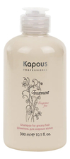 Kapous Professional Шампунь для жирных волос Treatment 250мл