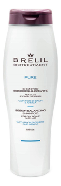 Шампунь для жирных волос Bio Treatment Pure Sebum Balancing Shampoo