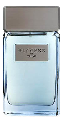 

Success: дезодорант твердый 70г, Success