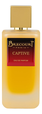 Brecourt Captive