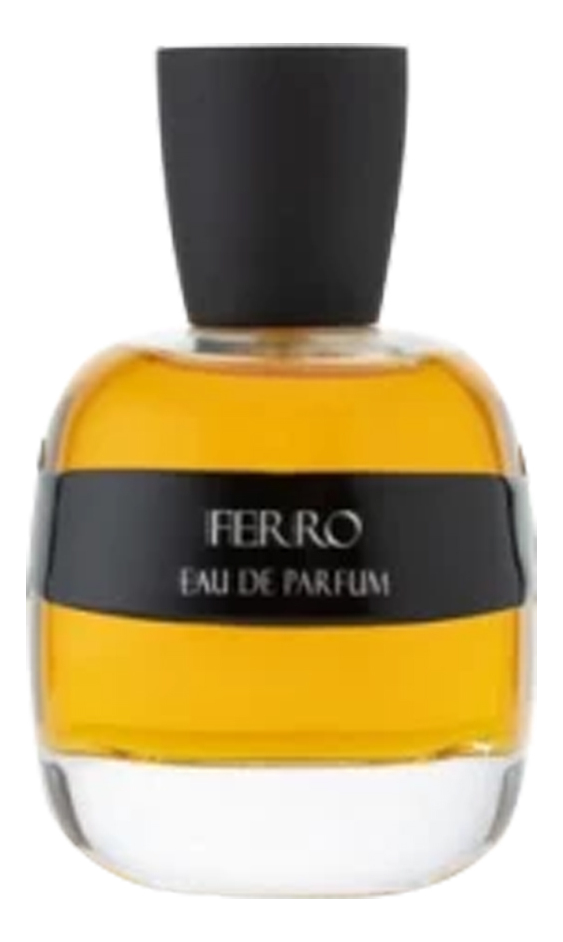Ferro: парфюмерная вода 100мл