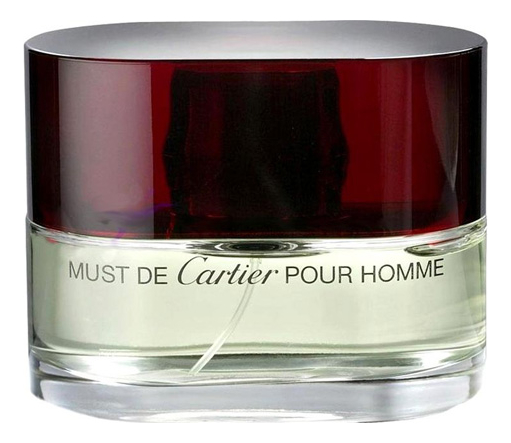 

Must Pour Homme: туалетная вода 100мл уценка, Must Pour Homme