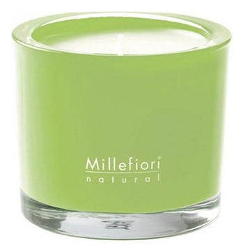 

Ароматическая свеча Цветы орхидеи Natural Fior D'Orchidea 180г