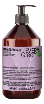 Шампунь для поврежденных волос Every Green Damager Hair Regenerating Shampoo