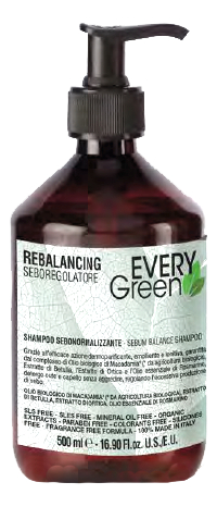 

Восстанавливающий шампунь для волос Every Green Rebalancing Sebum Balance Shampoo: Шапмунь 500мл, Восстанавливающий шампунь для волос Every Green Rebalancing Sebum Balance Shampoo