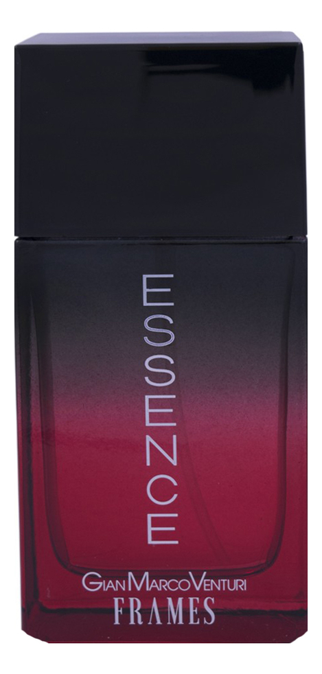 

Gian Marco Venturi Frames Essence: туалетная вода 100мл тестер, Gian Marco Venturi Frames Essence