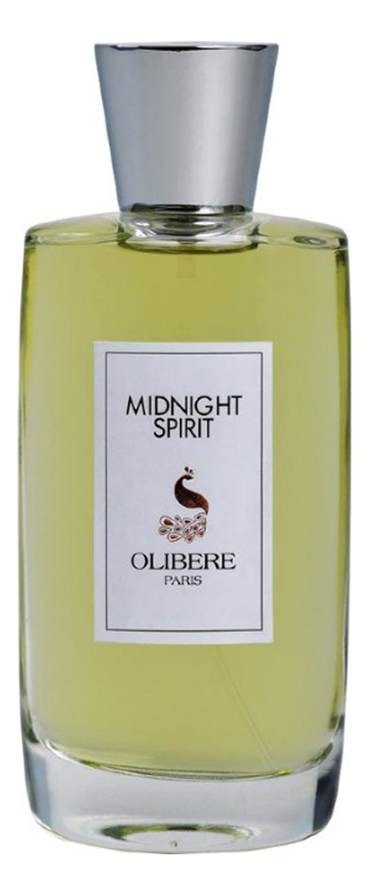 

Midnight Spirit: парфюмерная вода 100мл уценка, Midnight Spirit