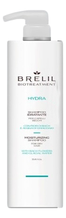 

Увлажняющий шампунь для волос Bio Treatment Hydra Shampoo: Шампунь 1000мл, Увлажняющий шампунь для волос Bio Treatment Hydra Shampoo