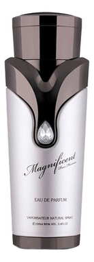Купить Magnificent Pour Homme: дезодорант 200мл, Armaf