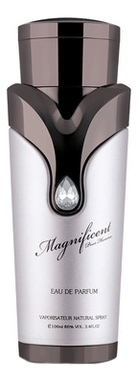 Armaf Magnificent Pour Homme: парфюмерная вода 8мл