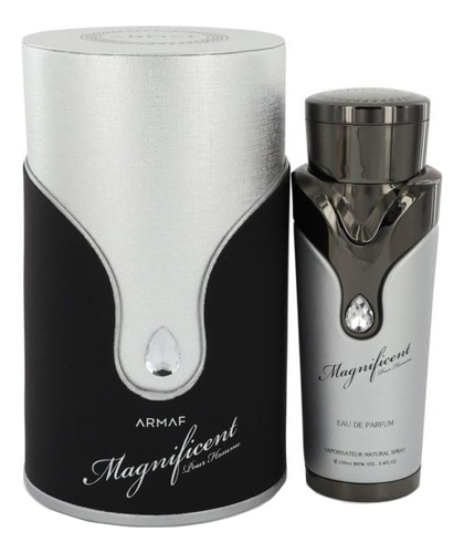 

Magnificent Pour Homme: парфюмерная вода 100мл, Magnificent Pour Homme