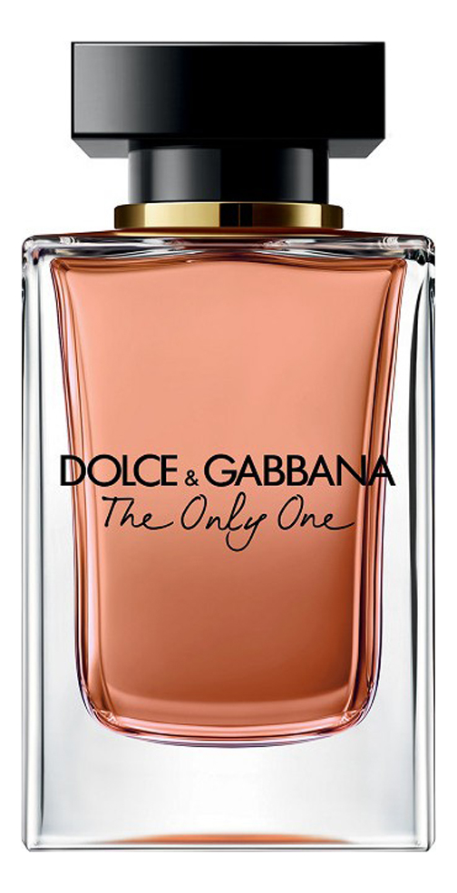 The one best sale dolce gabbana prix