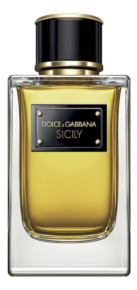 D&g velvet sicily on sale