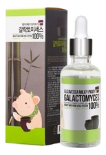 Elizavecca Сыворотка с экстрактом галактомисиса для проблемной кожи лица Milky Piggy Galactomyces Ferment Filtrate 100%