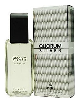 Quorum Silver: туалетная вода 100мл цена и фото