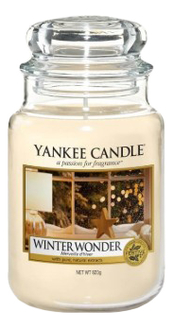 Ароматическая свеча Winter Wonder: Свеча 623г