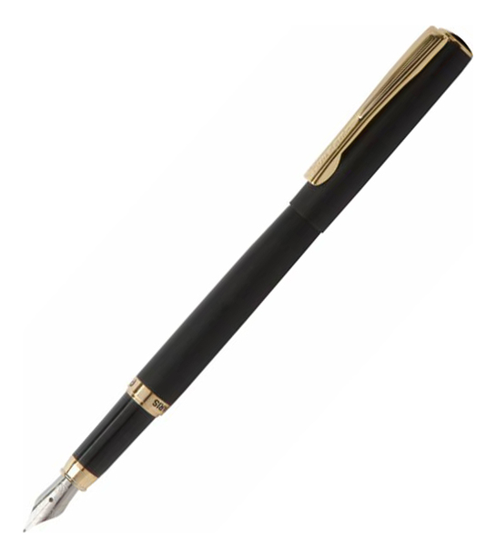 Перьевая ручка Eco PC0867FP
