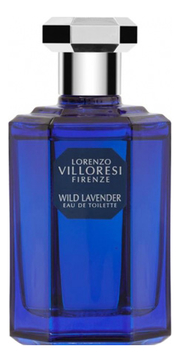 Wild Lavender