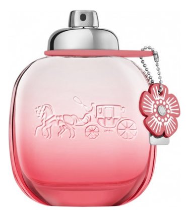 Flower pop blush perfume best sale