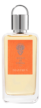  Dianthus
