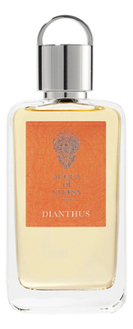  Dianthus